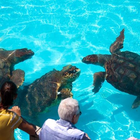 Pousada Barra Linda Florianópolis 外观 照片